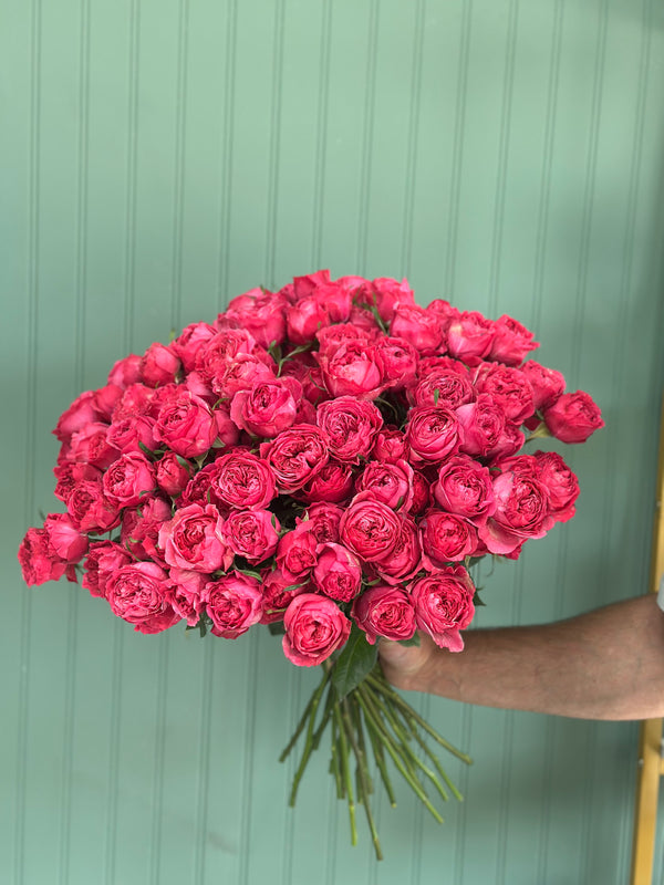 Blush Harmony: Pink Petal Elegance